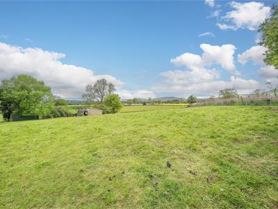 Picture 27